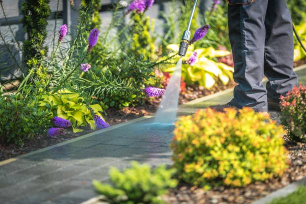 Best Driveway Pressure Washing  in Bainbridge, GA